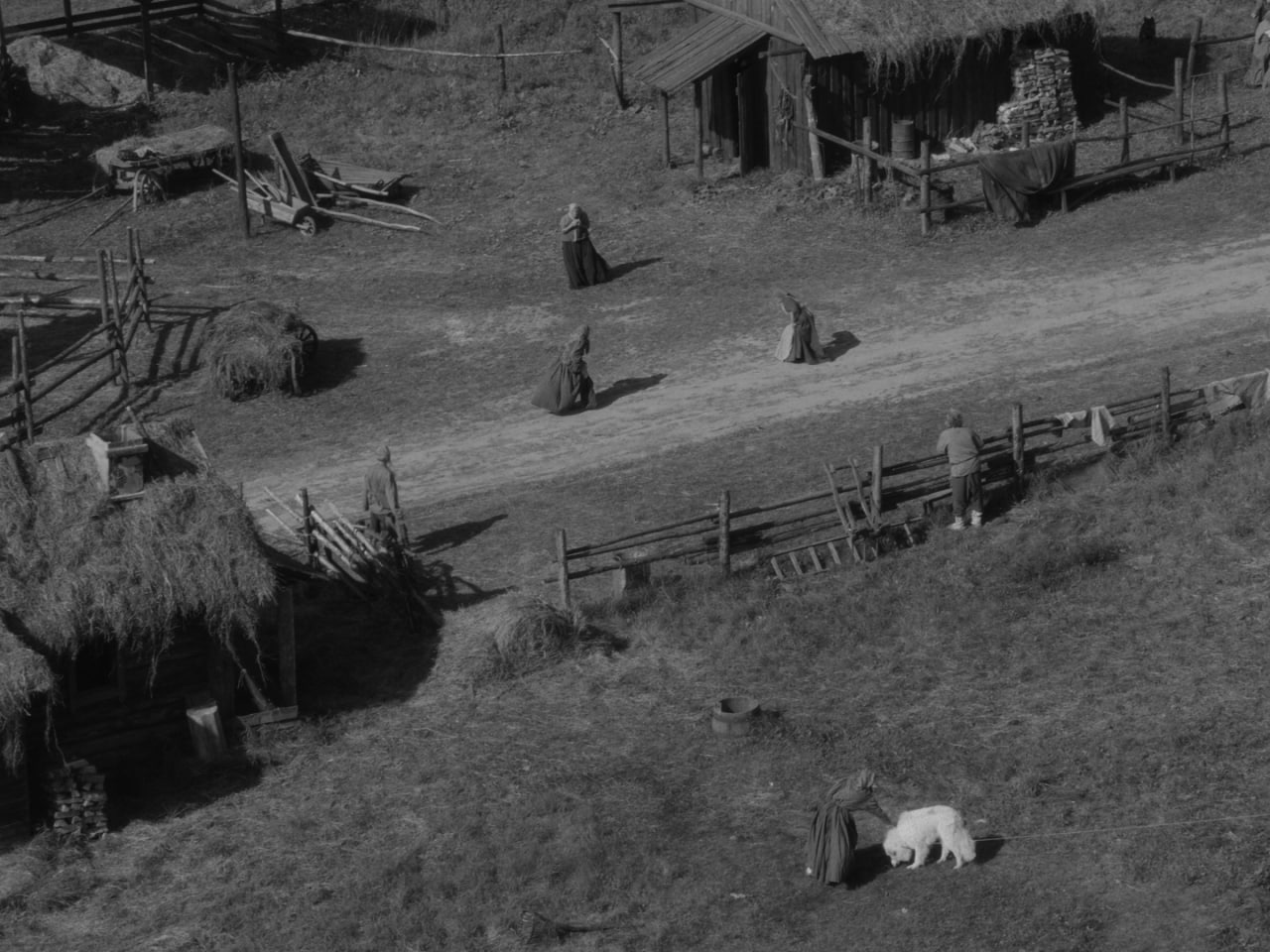 Кинопоказ «На этой земле» 16+